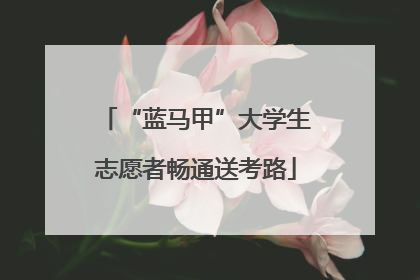 “蓝马甲”大学生志愿者畅通送考路