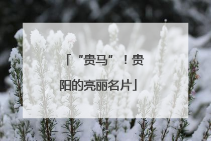 “贵马”！贵阳的亮丽名片