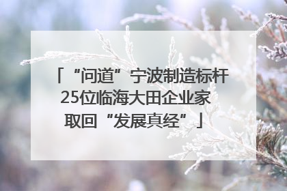 “问道”宁波制造标杆 25位临海大田企业家取回“发展真经”