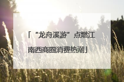 “龙舟溪游”点燃江南西商圈消费热潮