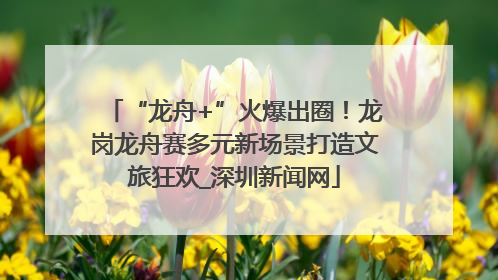 “龙舟+”火爆出圈！龙岗龙舟赛多元新场景打造文旅狂欢_深圳新闻网