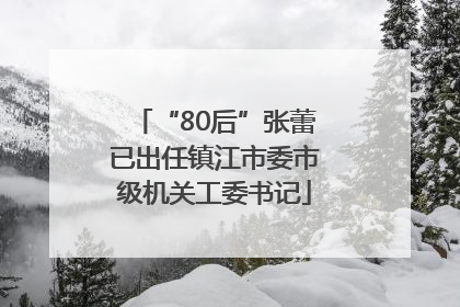 “80后”张蕾已出任镇江市委市级机关工委书记