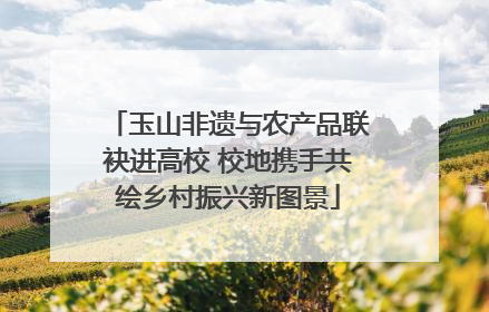 玉山非遗与农产品联袂进高校 校地携手共绘乡村振兴新图景