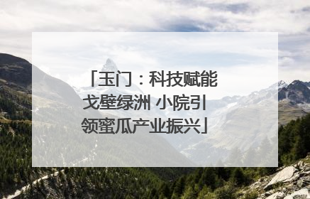 玉门：科技赋能戈壁绿洲 小院引领蜜瓜产业振兴