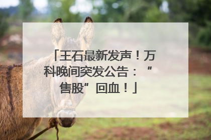 王石最新发声！万科晚间突发公告：“售股”回血！