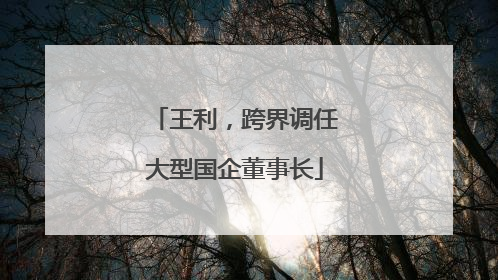 王利，跨界调任大型国企董事长
