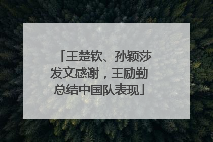 王楚钦、孙颖莎发文感谢，王励勤总结中国队表现