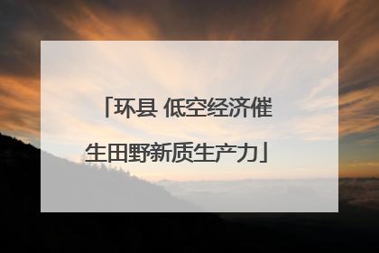 环县 低空经济催生田野新质生产力