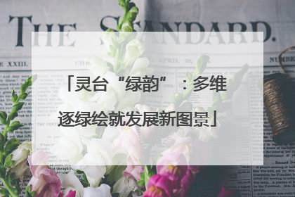 灵台“绿韵”：多维逐绿绘就发展新图景