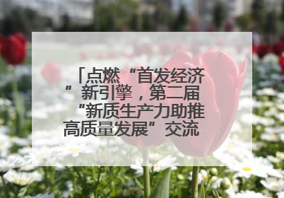 点燃“首发经济”新引擎，第二届“新质生产力助推高质量发展”交流会在成都举行