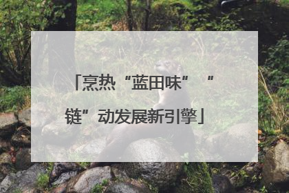 烹热“蓝田味”“链”动发展新引擎