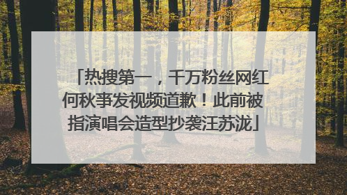 热搜第一，千万粉丝网红何秋亊发视频道歉！此前被指演唱会造型抄袭汪苏泷