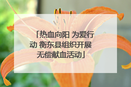 热血向阳 为爱行动 衡东县组织开展无偿献血活动