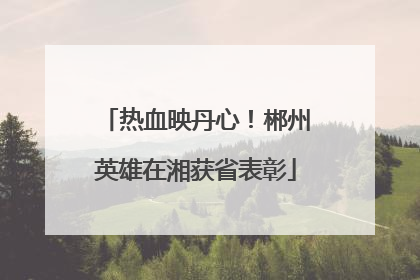 热血映丹心！郴州英雄在湘获省表彰