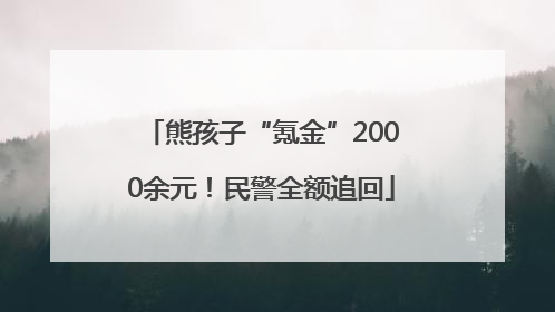 熊孩子“氪金”2000余元！民警全额追回