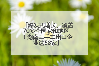 爆发式增长、覆盖70多个国家和地区！湖南二手车出口企业达58家