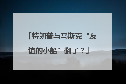 特朗普与马斯克“友谊的小船”翻了？