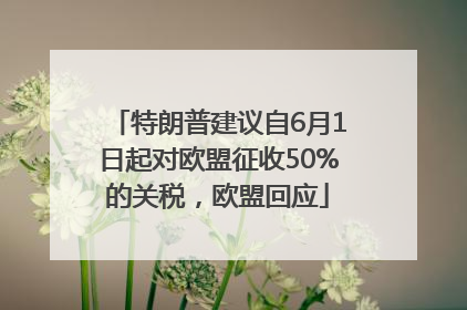 特朗普建议自6月1日起对欧盟征收50%的关税，欧盟回应