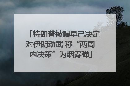 特朗普被曝早已决定对伊朗动武 称“两周内决策”为烟雾弹