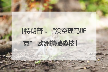 特朗普：“没空理马斯克” 欧洲抛橄榄枝