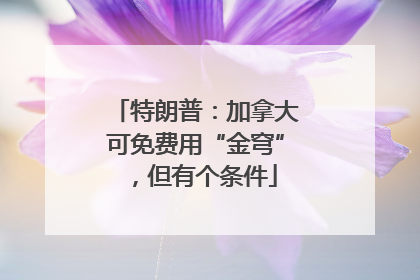 特朗普：加拿大可免费用“金穹”，但有个条件