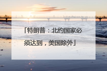 特朗普：北约国家必须达到，美国除外