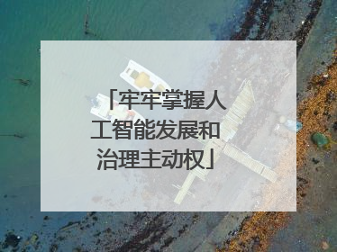 牢牢掌握人工智能发展和治理主动权