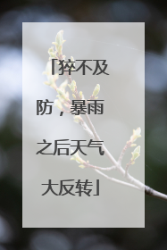 猝不及防，暴雨之后天气大反转