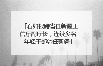 石如根跨省任新疆工信厅副厅长，连续多名年轻干部调任新疆