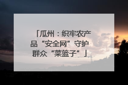 瓜州：织牢农产品“安全网”守护群众“菜篮子”