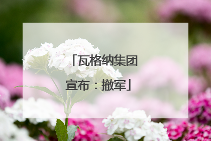 瓦格纳集团宣布：撤军