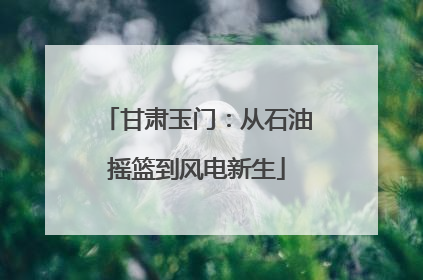 甘肃玉门：从石油摇篮到风电新生