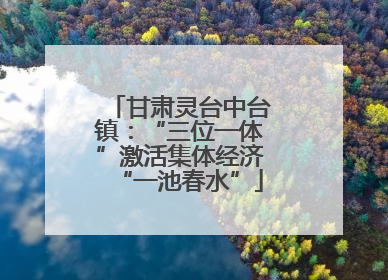 甘肃灵台中台镇：“三位一体”激活集体经济“一池春水”