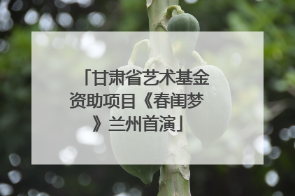 甘肃省艺术基金资助项目《春闺梦》兰州首演