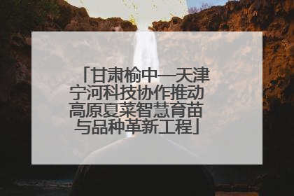 甘肃榆中—天津宁河科技协作推动高原夏菜智慧育苗与品种革新工程