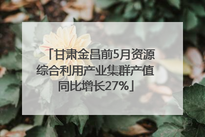 甘肃金昌前5月资源综合利用产业集群产值同比增长27%
