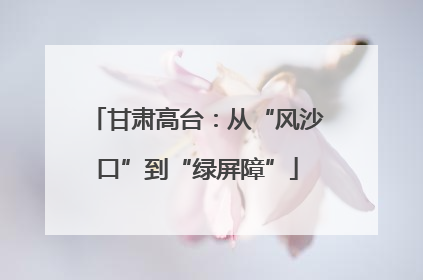 甘肃高台：从“风沙口”到“绿屏障”
