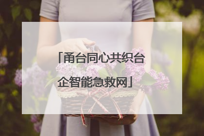 甬台同心共织台企智能急救网