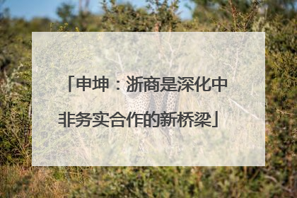 申坤：浙商是深化中非务实合作的新桥梁