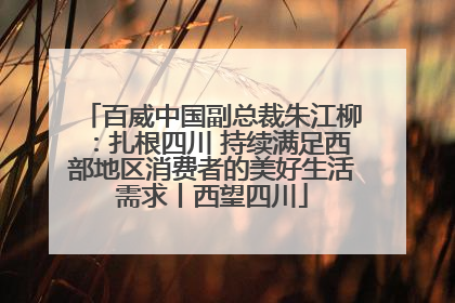 百威中国副总裁朱江柳：扎根四川 持续满足西部地区消费者的美好生活需求丨西望四川