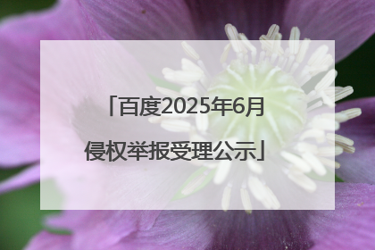 百度2025年6月侵权举报受理公示