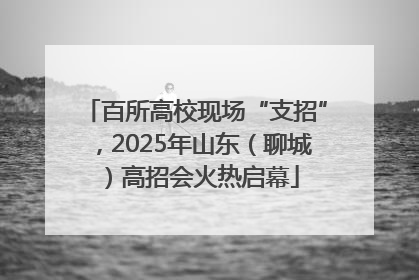 百所高校现场“支招”，2025年山东（聊城）高招会火热启幕