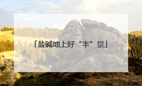 盐碱地上好“丰”景