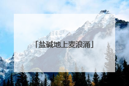 盐碱地上麦浪涌