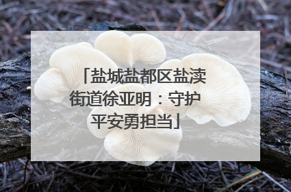 盐城盐都区盐渎街道徐亚明：守护平安勇担当