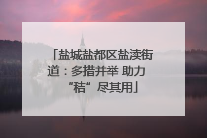 盐城盐都区盐渎街道：多措并举 助力“秸”尽其用