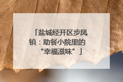 盐城经开区步凤镇：助餐小院里的“幸福滋味”