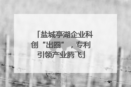 盐城亭湖企业科创“出圈”，专利引领产业腾飞