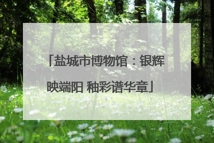 盐城市博物馆：银辉映端阳 釉彩谱华章