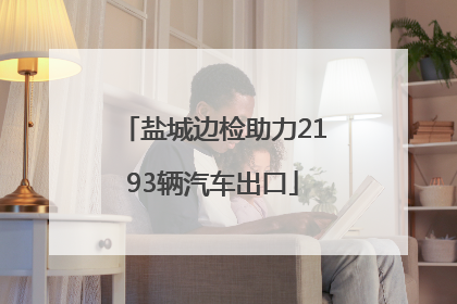盐城边检助力2193辆汽车出口